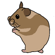 004