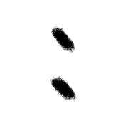 023
