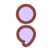 243