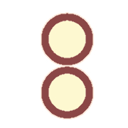 244