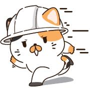 003