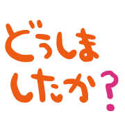 019