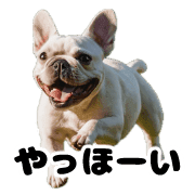 008