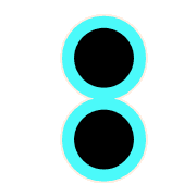 244