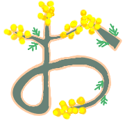 005