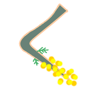 008