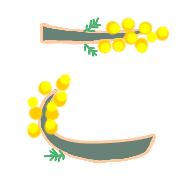 010