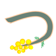 018
