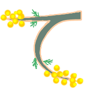 019
