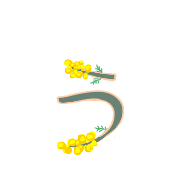 049