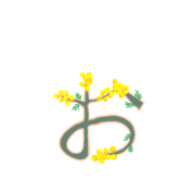 051