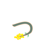 052
