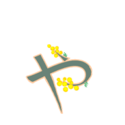 053