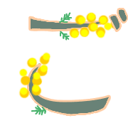 060