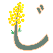 062
