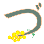 068