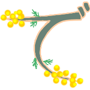 069