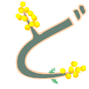 070