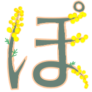080