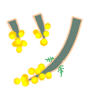 098