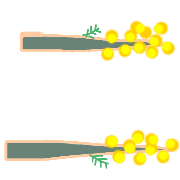 102