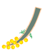 105