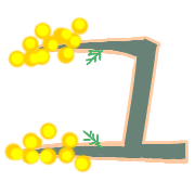 117