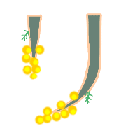 120