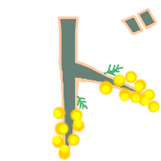150