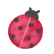 003
