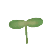 037