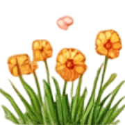 011