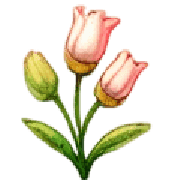 031