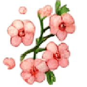 032