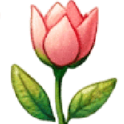 035