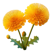 038