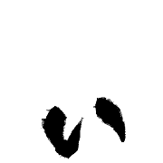 048