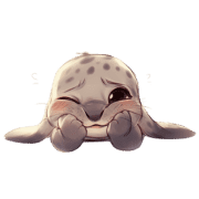 006