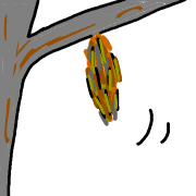 038