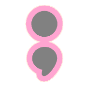 243