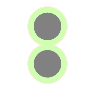 244