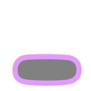 250