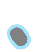 256