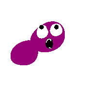 004