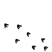 036