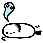 010