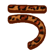 003