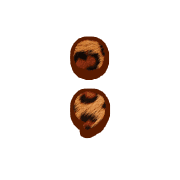 243