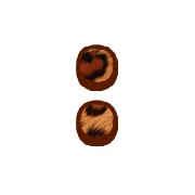 244