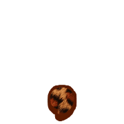 245